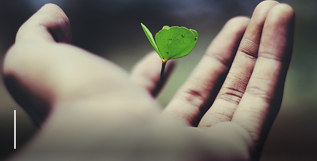 ��I(y��)ʹ��